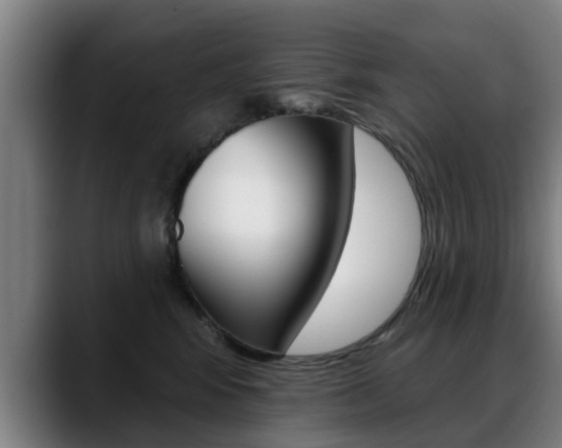 X0000089420424200706151007