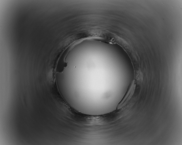 X0000089420428200706151007