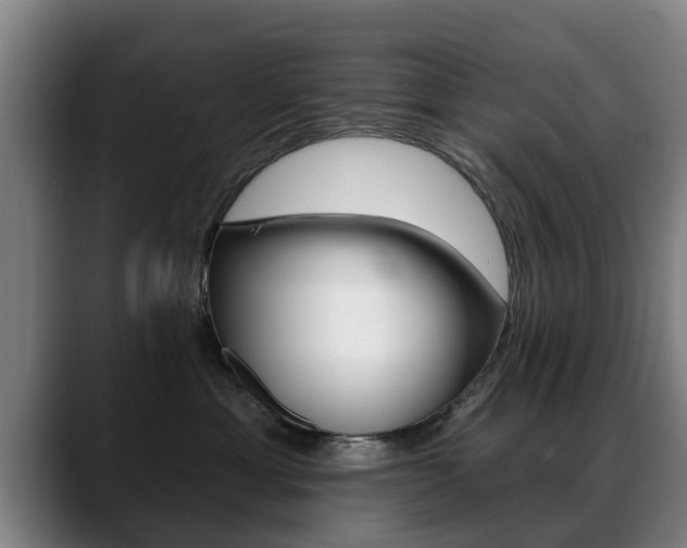 X0000089420429200706151007