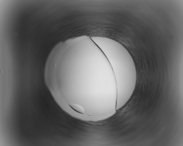 X0000089420431200706151007