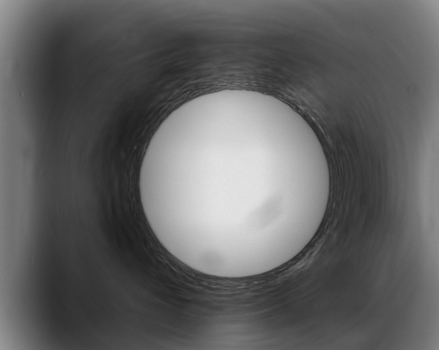 X0000089420432200706151007