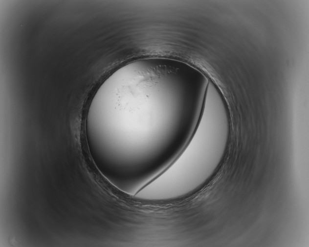 X0000089420434200706151006