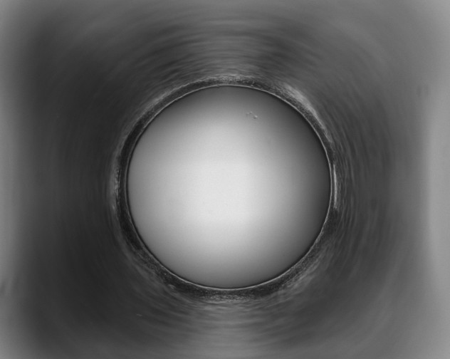 X0000089420435200706151006