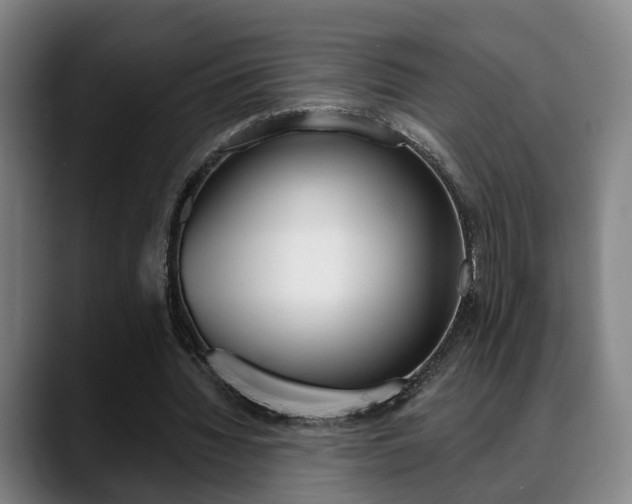 X0000089420436200706151006
