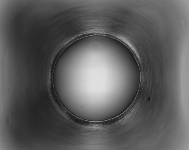 X0000089420437200706151006