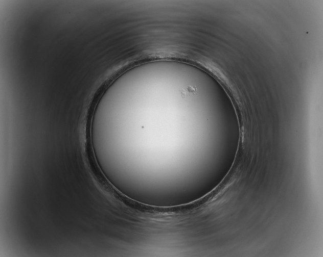 X0000089420438200706151006