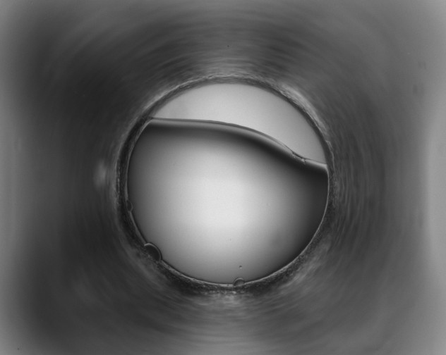 X0000089420439200706151006