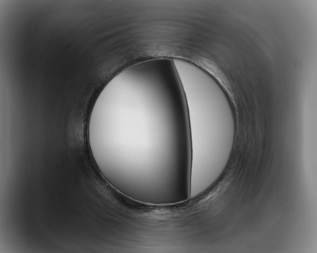 X0000089420441200706151006