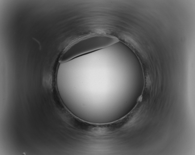 X0000089420444200706151006
