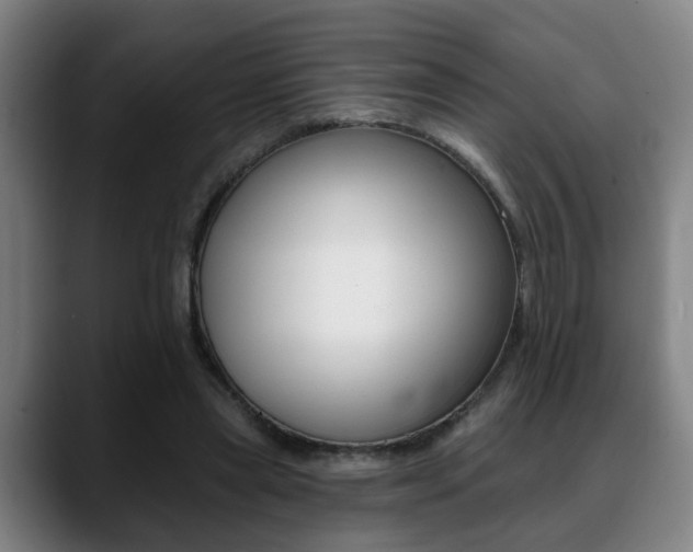 X0000089420445200706151006