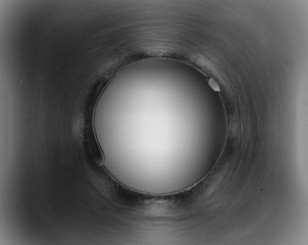 X0000089420448200706151006