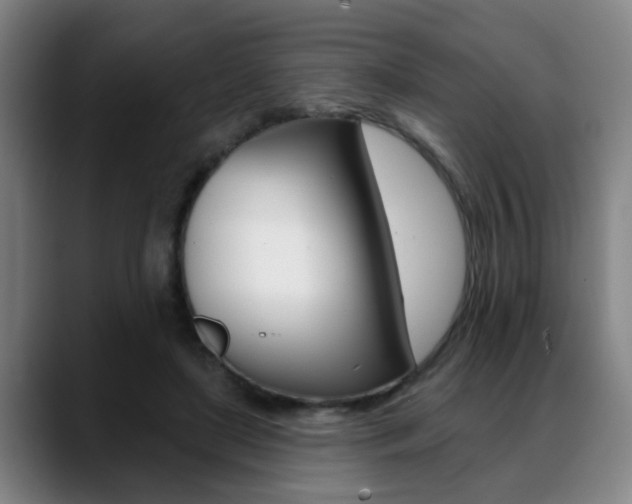 X0000089420451200706151006