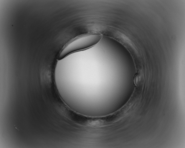 X0000089420452200706151006