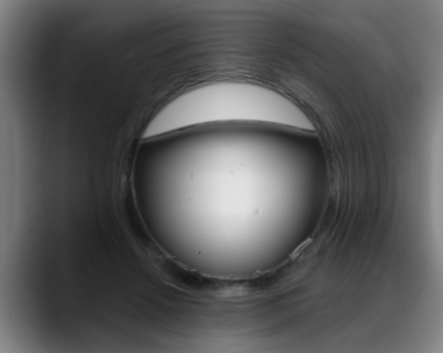 X0000089420456200706151006