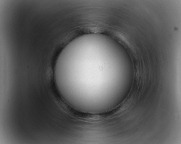 X0000089420459200706151006