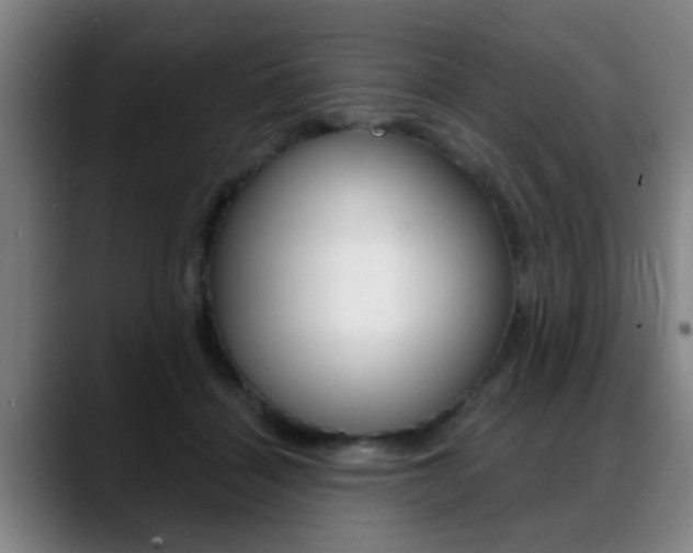 X0000089420460200706151006