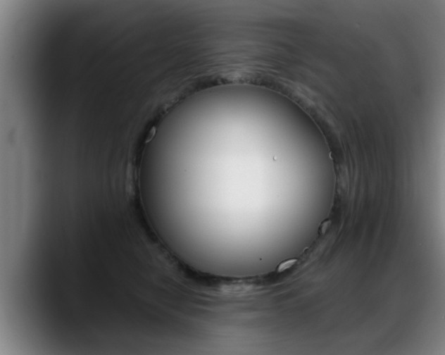 X0000089420470200706151006