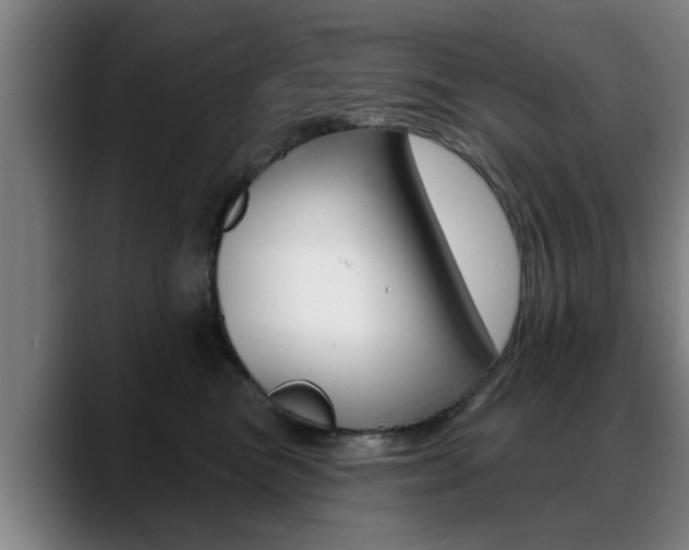 X0000089420473200706151006