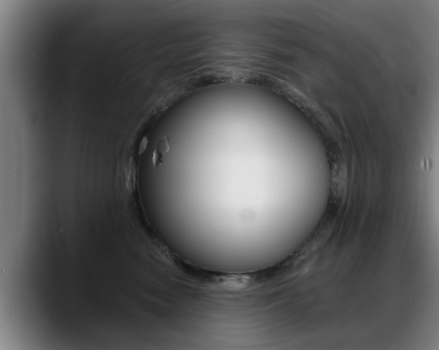 X0000089420474200706151006
