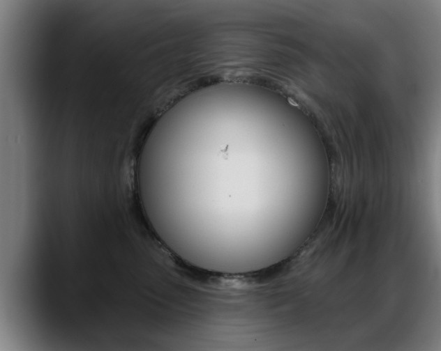 X0000089420475200706151006