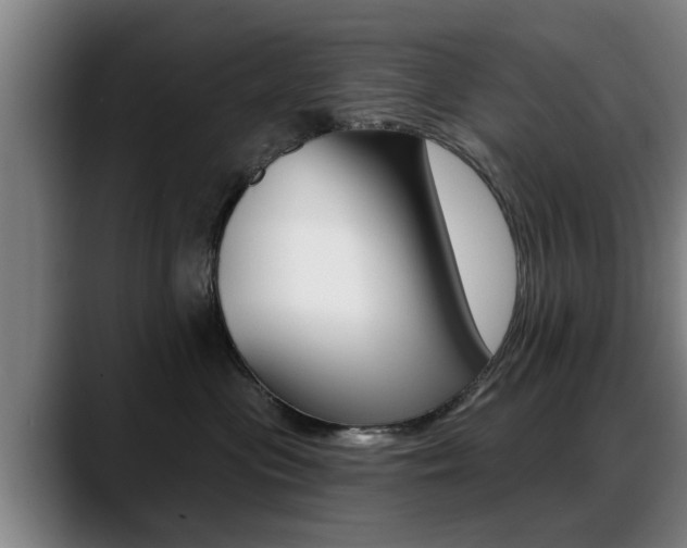 X0000089420477200706151006