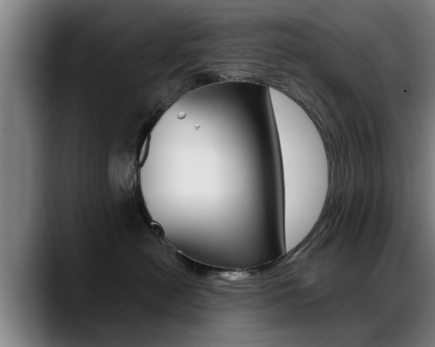 X0000089420478200706151007