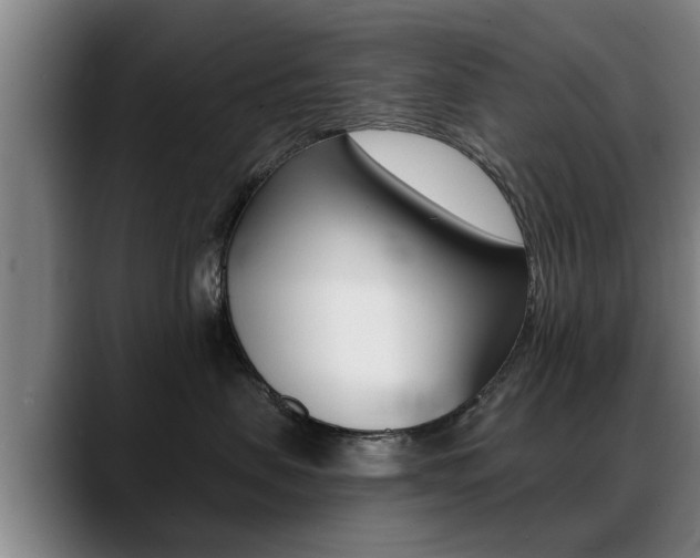 X0000089420479200706151007