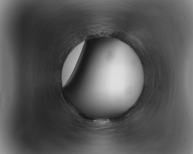 X0000089420480200706151007