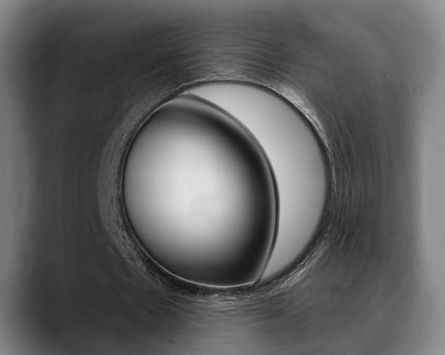 X0000089420481200706151006