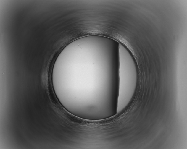 X0000089420482200706151006
