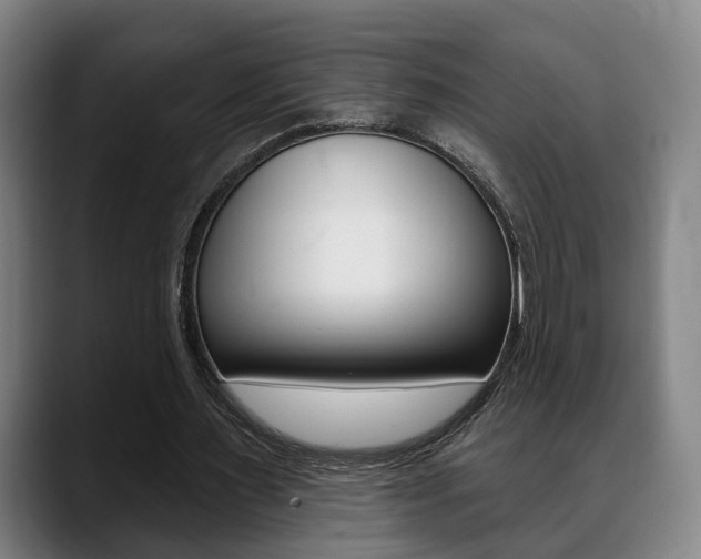 X0000089420483200706151006