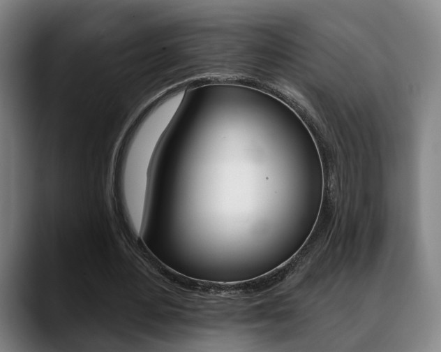 X0000089420484200706151006