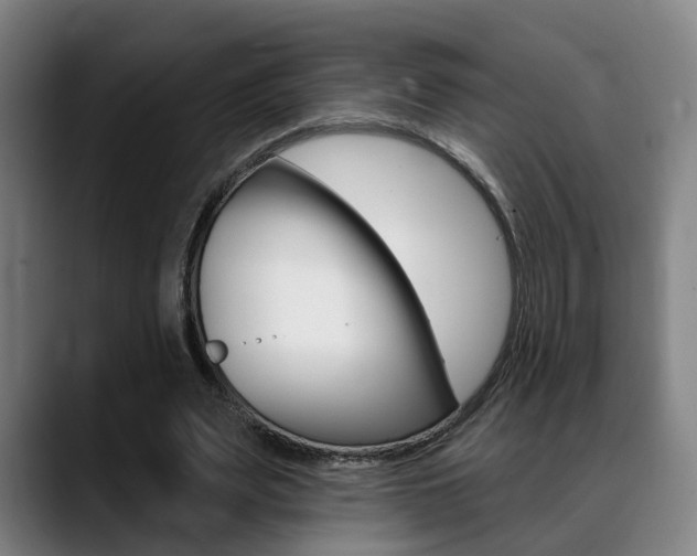 X0000089420487200706151006