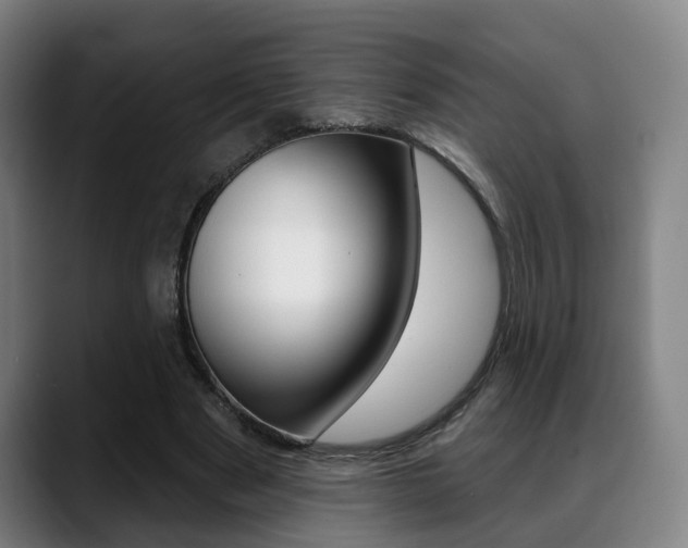 X0000089420489200706151006