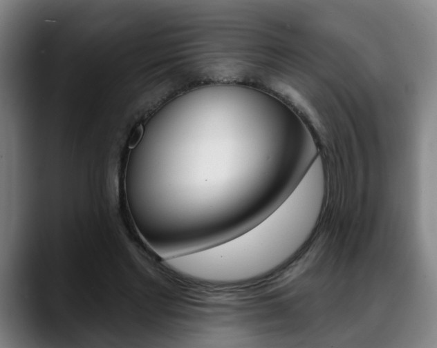 X0000089420493200706151006