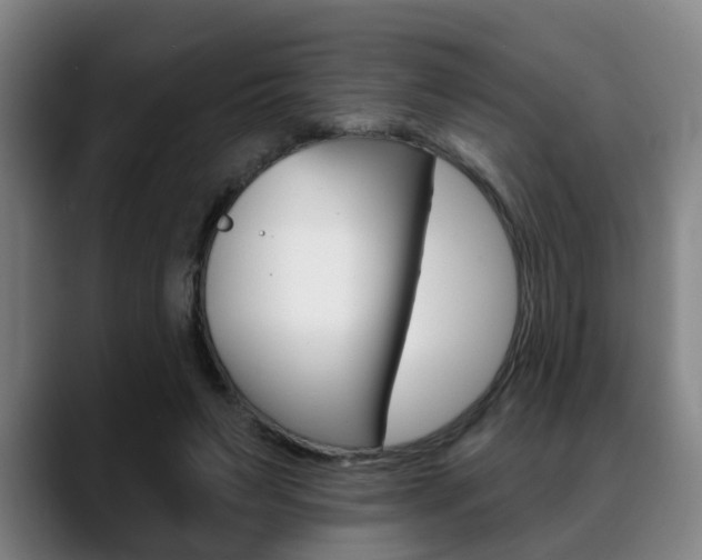 X0000089420495200706151006