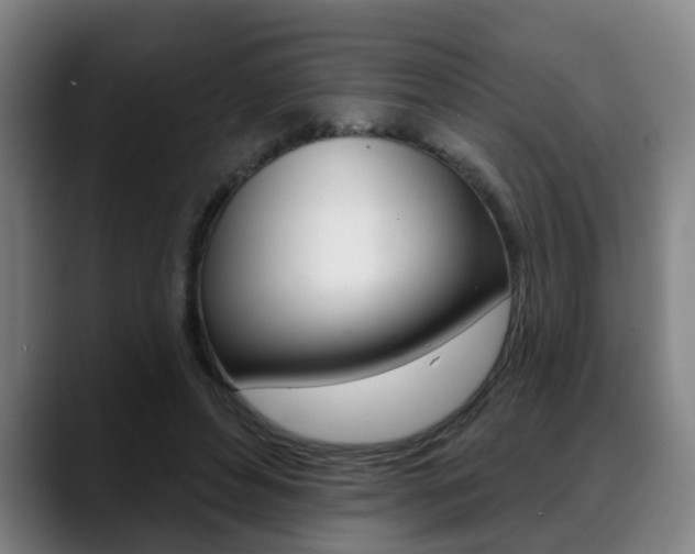 X0000089420496200706151006