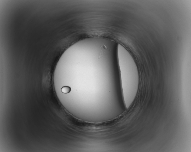 X0000089420498200706151006