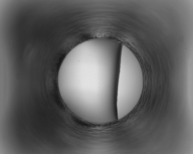 X0000089420503200706151006