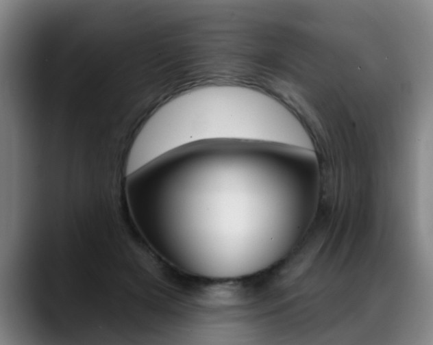X0000089420505200706151006