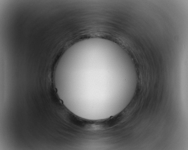 X0000089420506200706151006