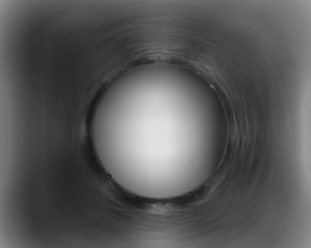 X0000089420508200706151006
