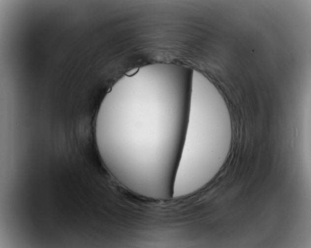 X0000089420511200706151006
