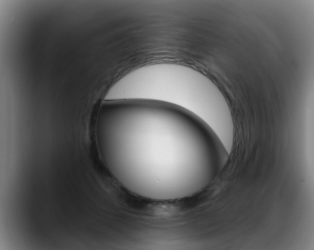 X0000089420512200706151006