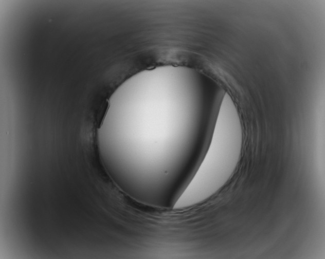 X0000089420513200706151006