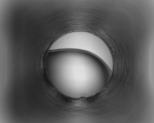 X0000089420516200706151006