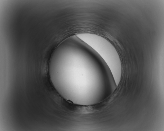 X0000089420517200706151006