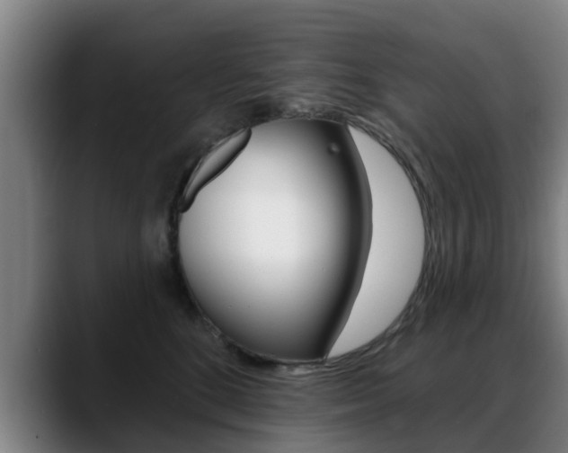 X0000089420520200706151006