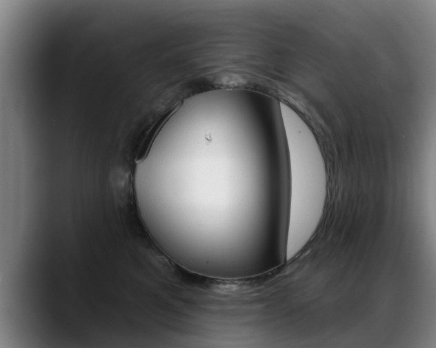 X0000089420521200706151006
