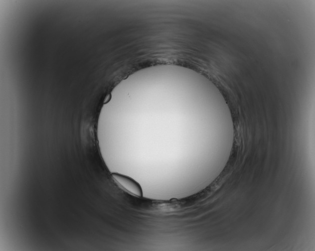 X0000089420522200706151005